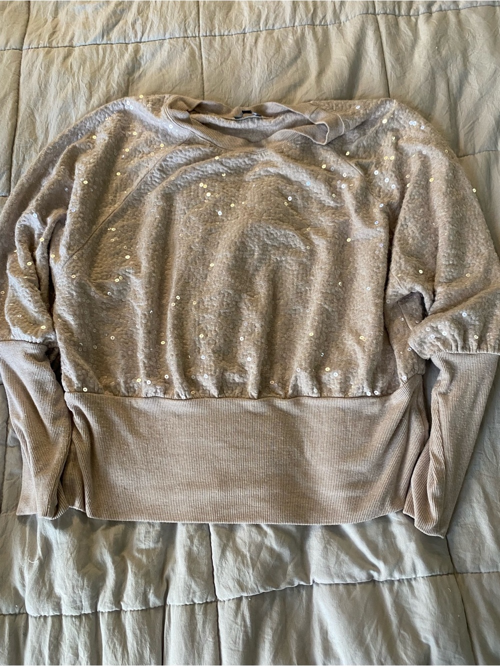 Express Beige Sequin Crew Neck Sweater